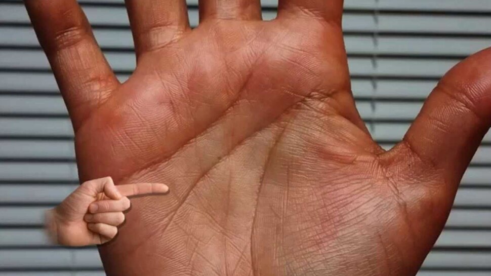 हाथ में कहां होती है धन रेखा? जानें कौन सा योग आपको बनाएगा धनवान