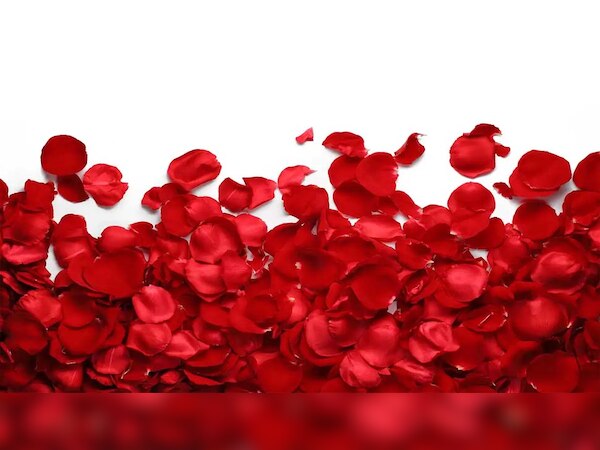 अलामती तस्वीर 