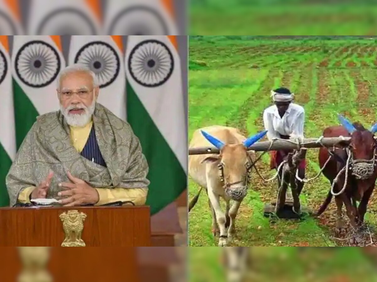 PM Kisan Yojna: इन किसानों को नहीं मिलेगा योजना का लाभ, यहां जानें कब आएगी 11वीं किस्त!