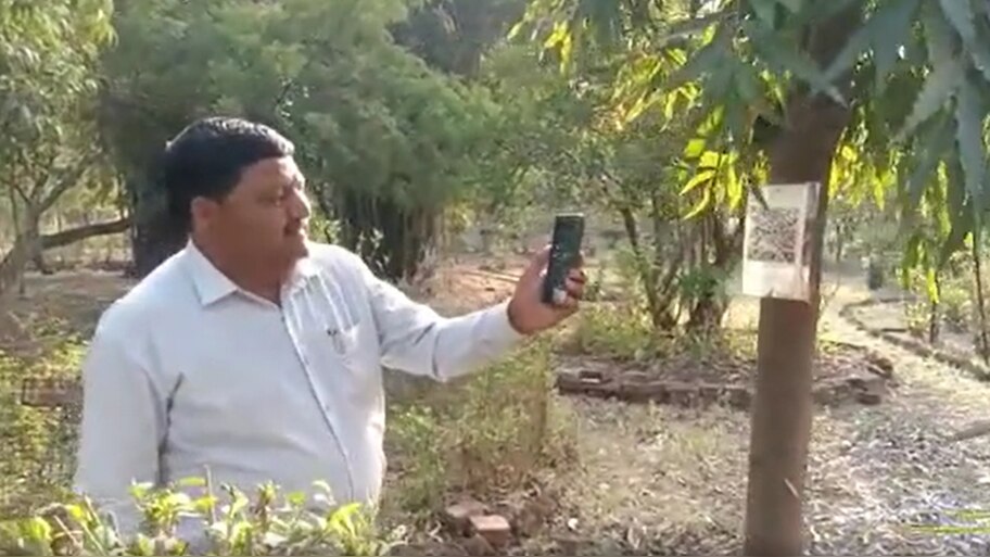 QR कोड से मिलेगी पेड़ों के बारे में जानकारी, इस यूनिवर्सिटी ने उठाया अनोखा कदम