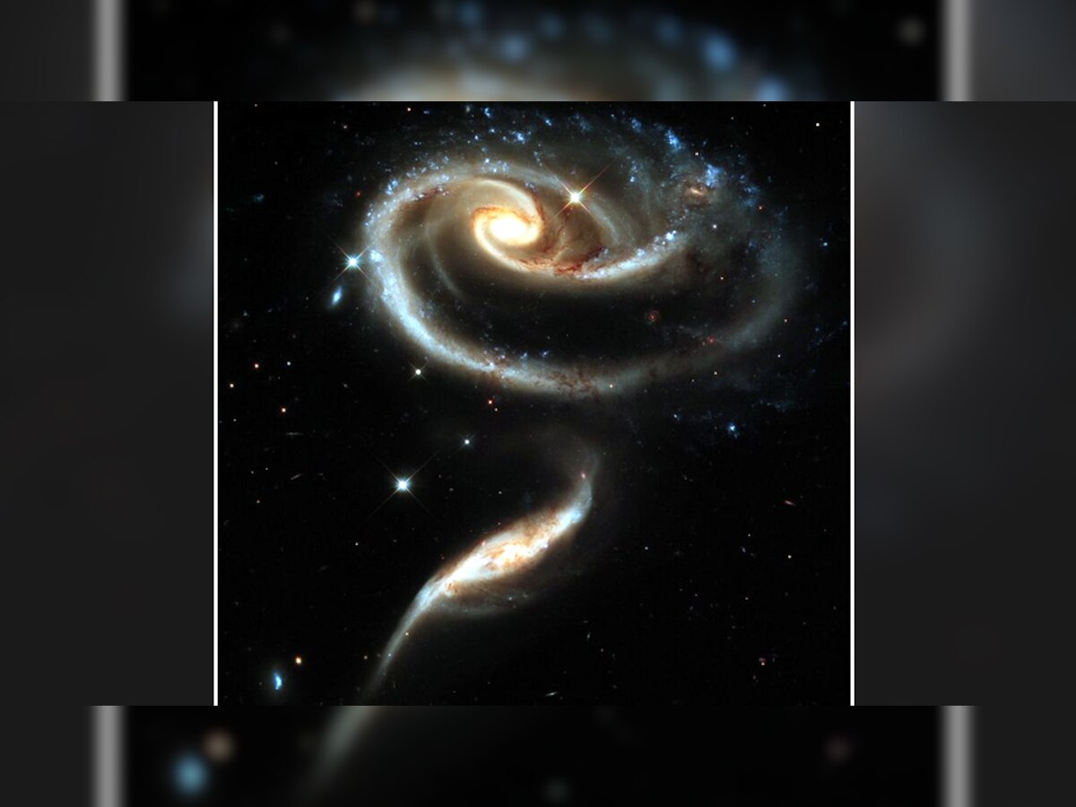 NASA Hubble telescope clicks space rose on Valentine Day कभी देखा है