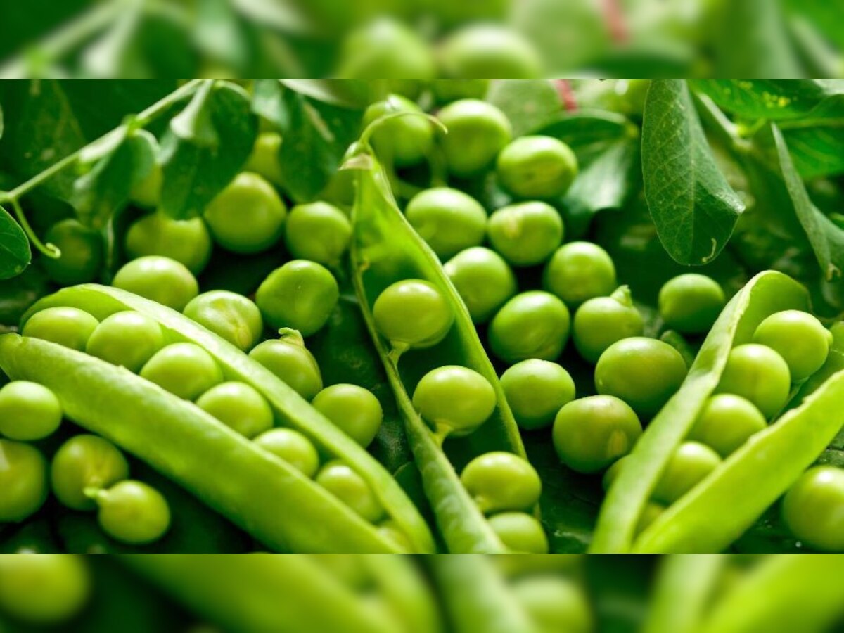 benefits protein rich green peas