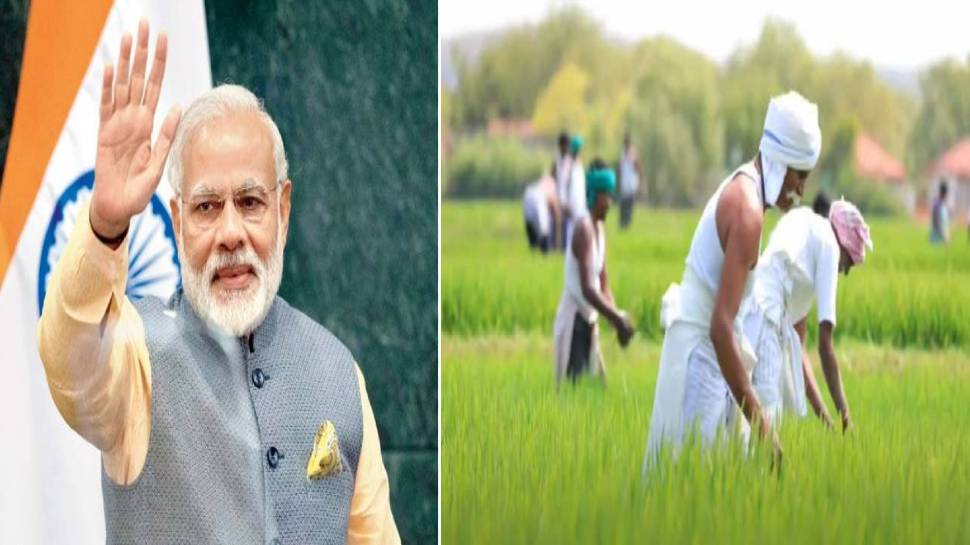 PM Kisan 11th installment This change happened before transferring amount  know details here | PM Kisan Yojana की 11वीं किस्त की राशि किसानों के खाते  में ट्रांसफर करने से पहले हुआ यह