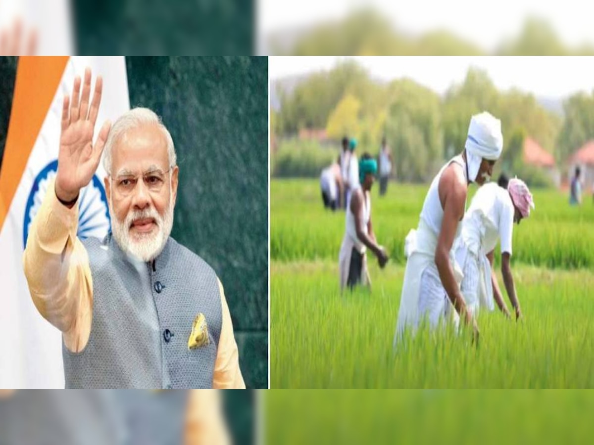 PM Kisan Yojana की 11वीं किस्त की राशि किसानों के खाते में ट्रांसफर करने से पहले हुआ यह बदलाव, यहां जानें पूरी डिटेल