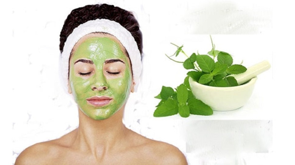 Skin Care Tips Skin Care Routine Tulsi Face Pack Benefits of Applying Basil  on face brmp | Skin Care Tips: चेहरे पर इस तरह लगाएं तुलसी के पत्ते, चमक  जाएगा फेस, इन