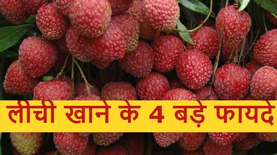 Summer Fruit Litchi Health Benefits For Weight Loss Side Effect