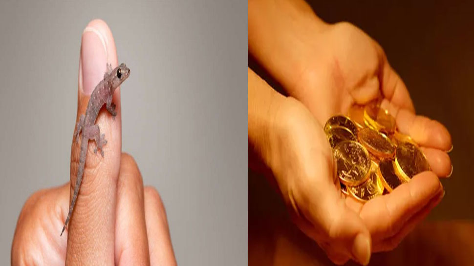 सांकेतिक तस्वीर