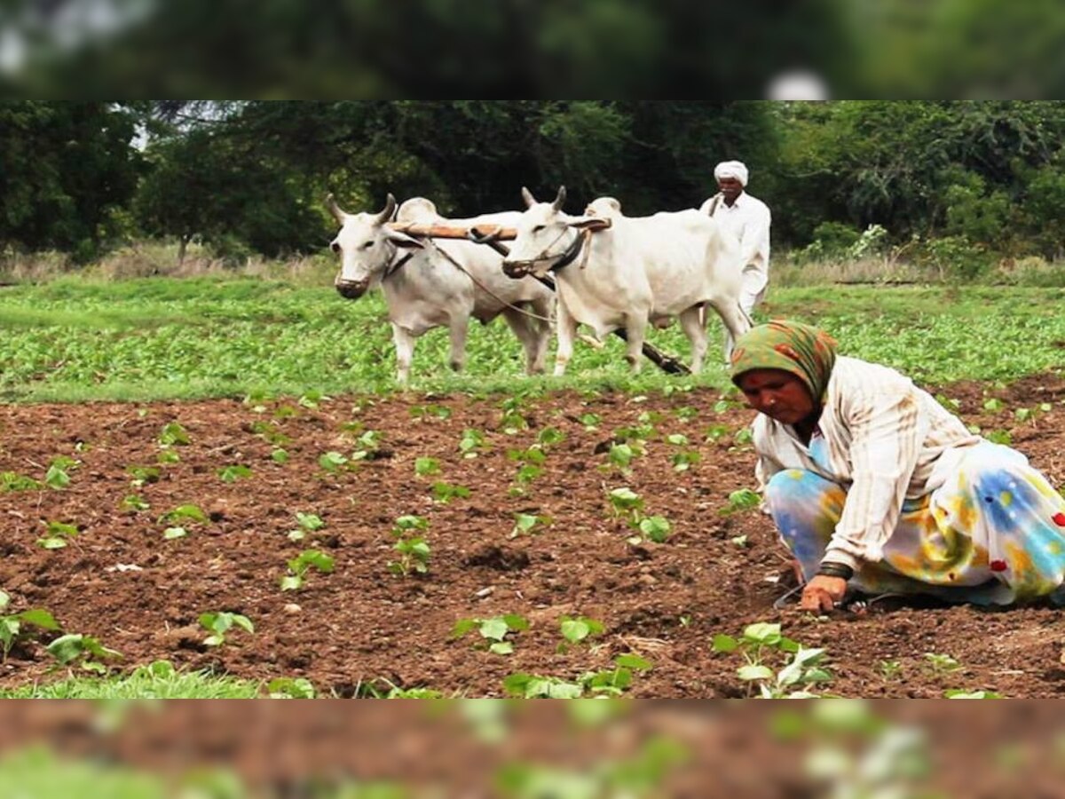 PM Kisan: 31 मार्च से पहले किसान कर लें ये काम, वरना अटक सकती है 11वीं किस्त की रकम