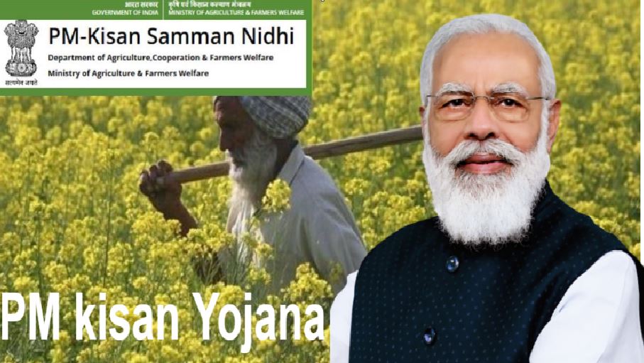 PM Kisan Yojana: 11वीं किस्त में इन किसानों को मिलेंगे 4,000 रुपये, जानिए कैसे उठाएं फायदा