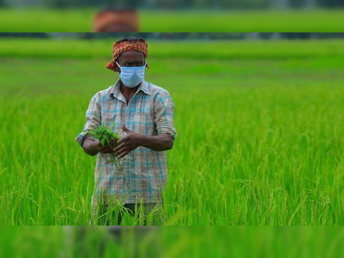 प्रतीकात्मक फोटो | साभार- रॉयटर्स.