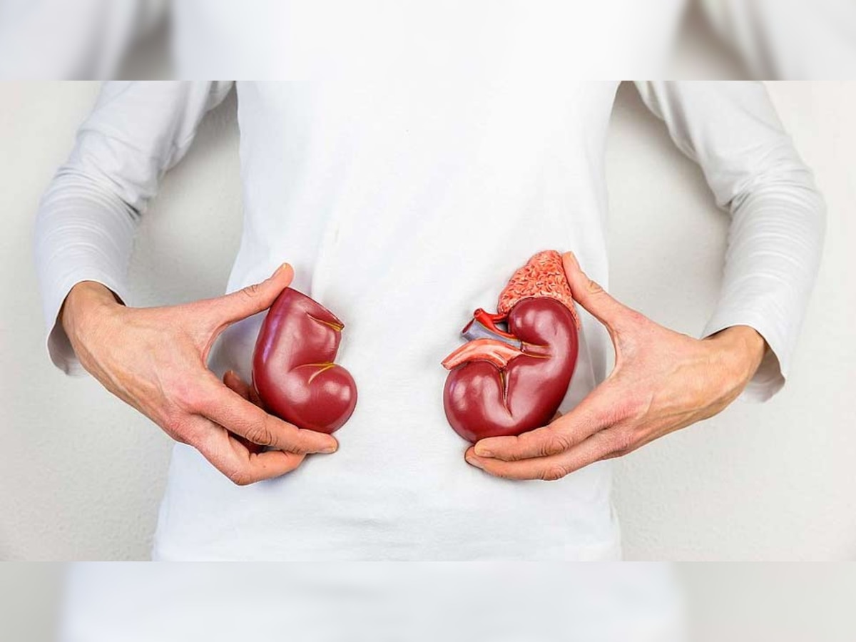 World Kidney Day 2022: इन 5 आदतों से आज ही करें तौबा, किडनी को होगा तगड़ा नुकसान