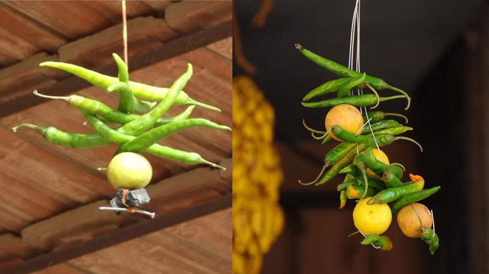 Why do lemons and peppers hang outside the house and shop know the science  behind it | घर और दुकान के बाहर क्यों लटकाते हैं नींबू-मिर्च, जानिए इसके  पीछे की साइंस |