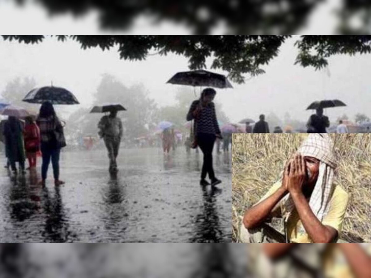 MP में किसानों की फसल पर संकट के बादल, इन जिलों में बारिश और ओलावृष्टि का अलर्ट