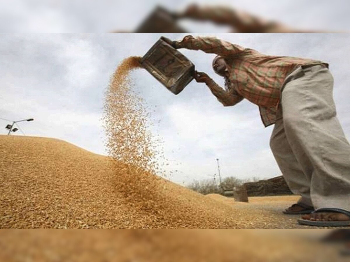 प्रतीकात्मक तस्वीर 