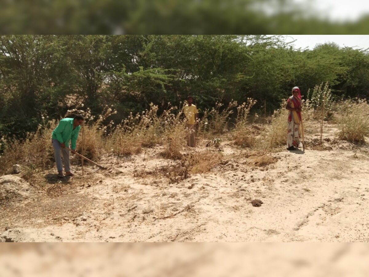 पेड़ पौधों को बचाना और उनकी रक्षा करना पहली प्राथमिकता- सरगरा