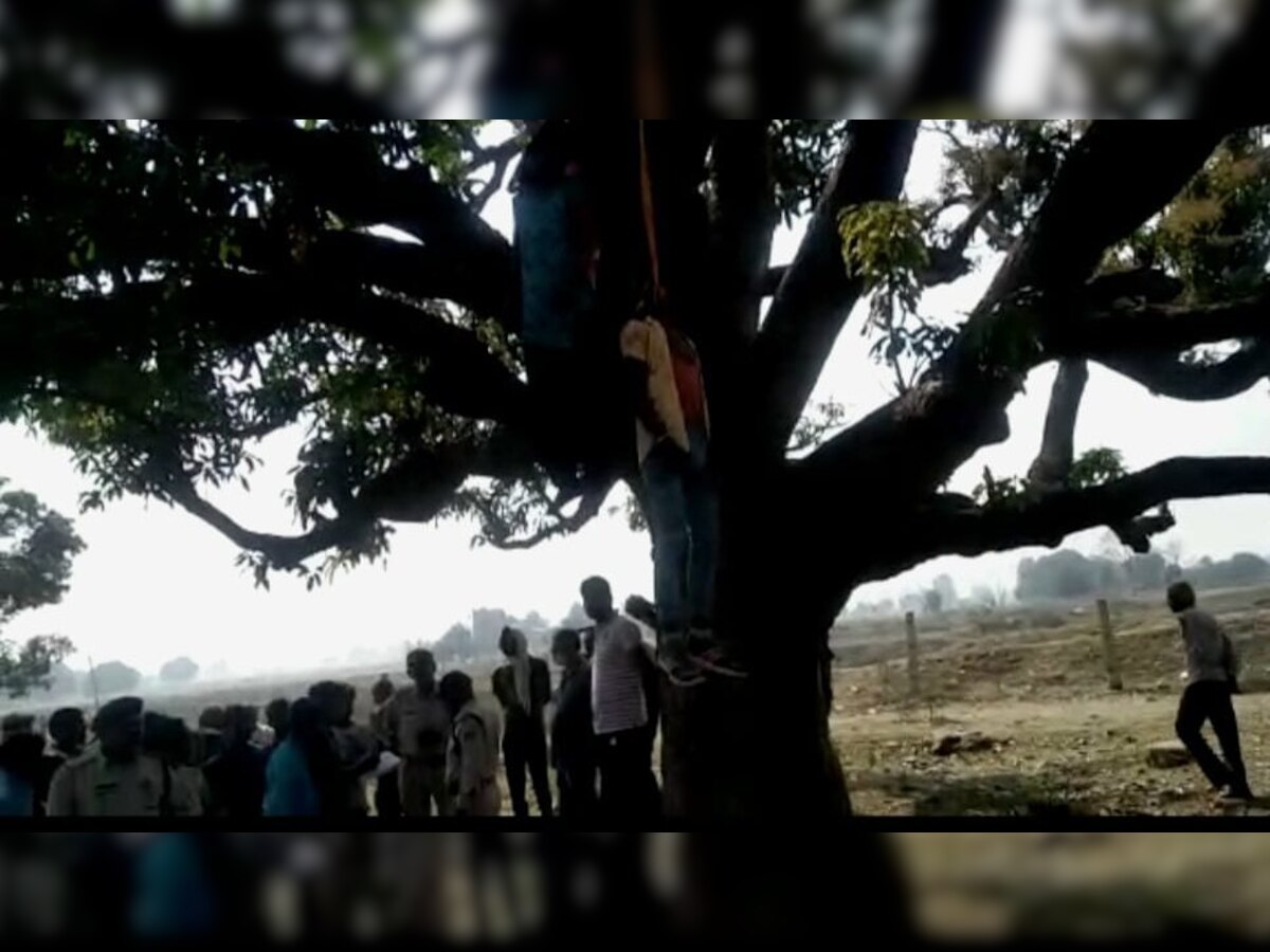 प्रेमी जोड़े के शव पेड़ से लटके मिलने से इलाके में हड़कंप, मौत का कारण अज्ञात