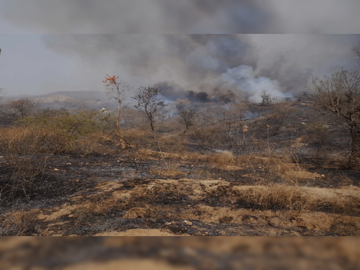 आसपुर के जंगल में लगी आग, वन विभाग ने ये तरकीब लगाकर फैलने से रोका