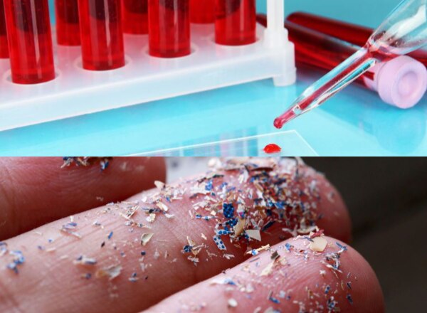 पहली बार मानव रक्त में मिले माइक्रोप्लास्टिक, जानें क्यों डराने वाला है ये शोध