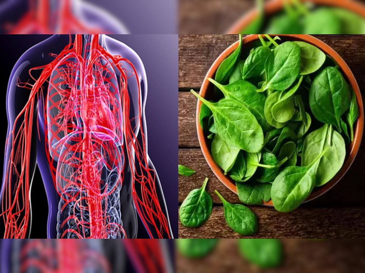 Foods for blood vessels