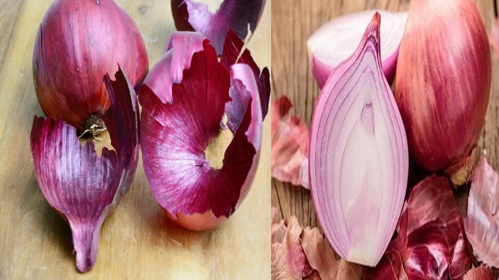 Benefits Of Onion Peel easy tips ssh प्याज के छिलके में गजब के फायदे, स्किन और बालों के लिए