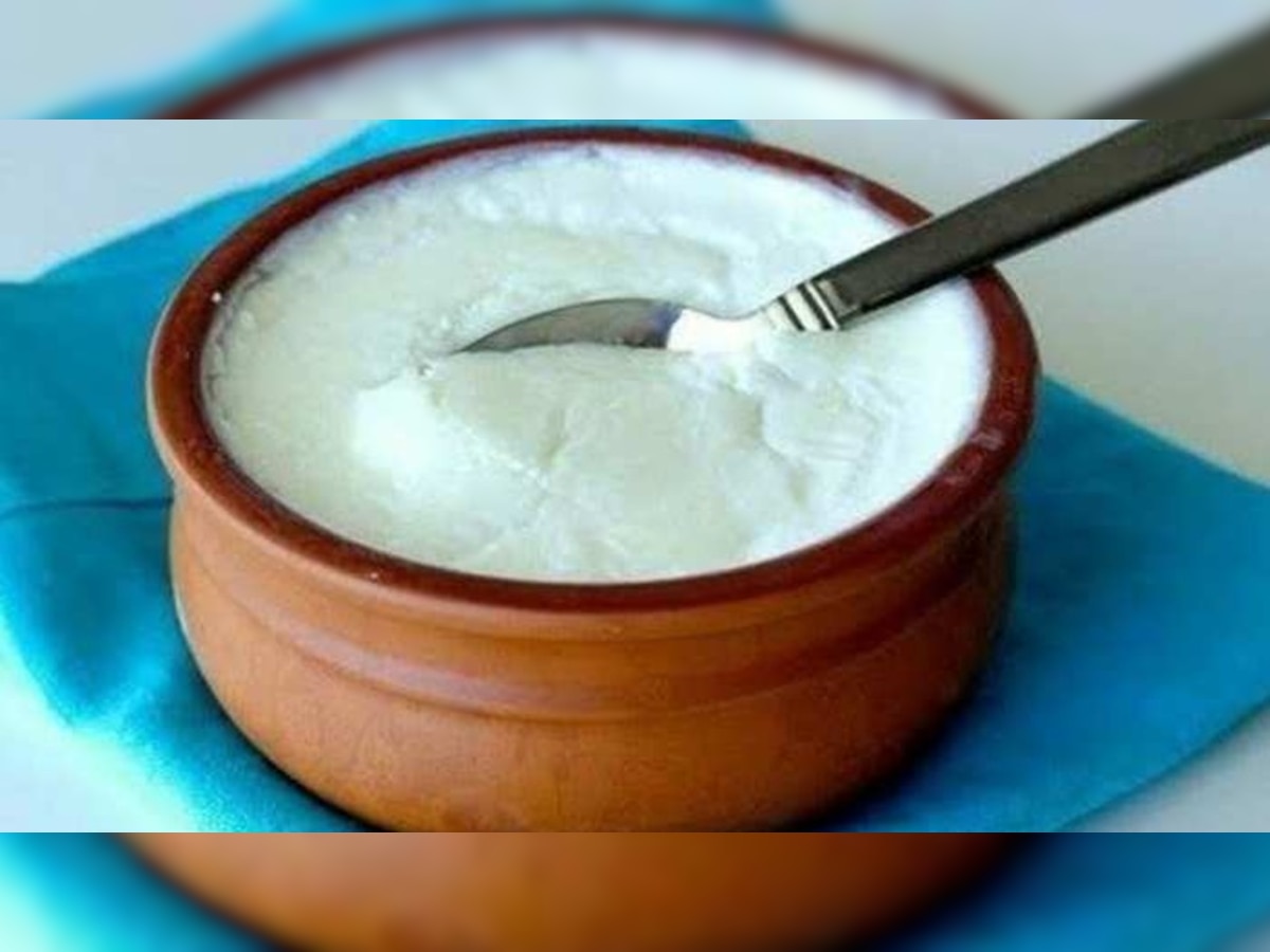 Curd benefits