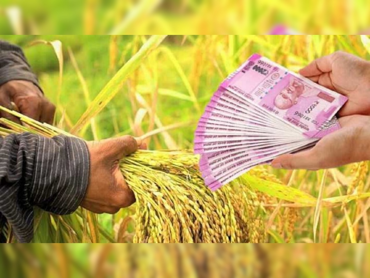 PM Kisan Yojana के तहत सरकार दे रही लाखों का फायदा, छत्तीसगढ़ में इतने किसानों को मिला लाभ