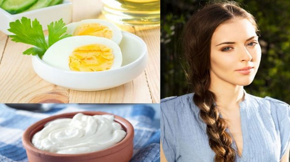 Curd Egg Hair Maskअड और दह क नचरल हयर मसक स कर डमज बल क  इलज जनए कस कर तयर  How to Use Egg and curd for improve damaged  hair know