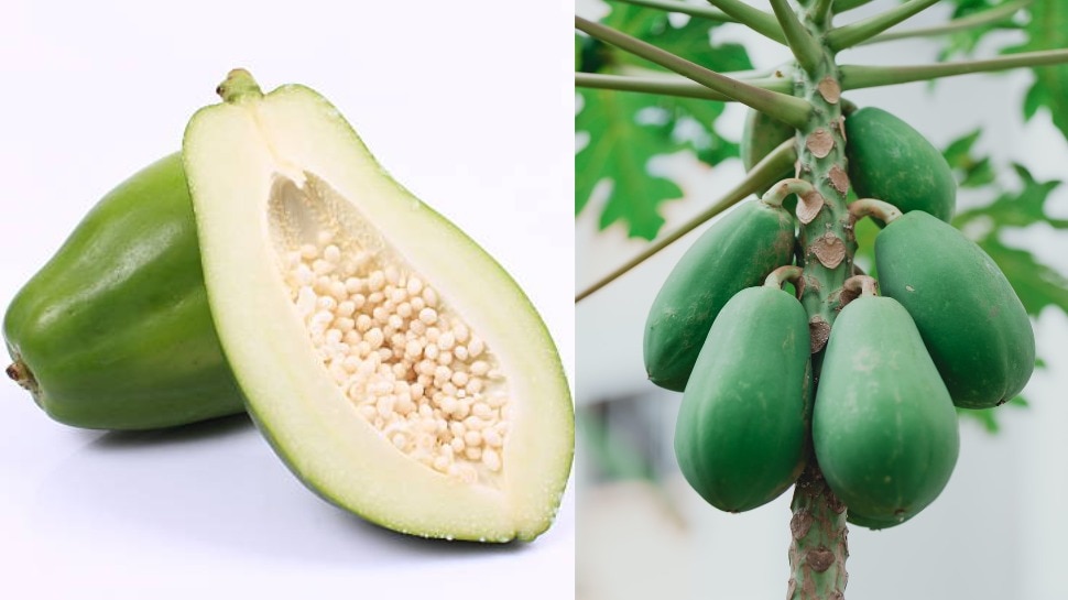 Benefits of raw papaya Listening to these benefits of raw papaya you