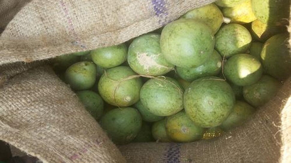 Benefits of Bael or wood apple it is beneficial for several health