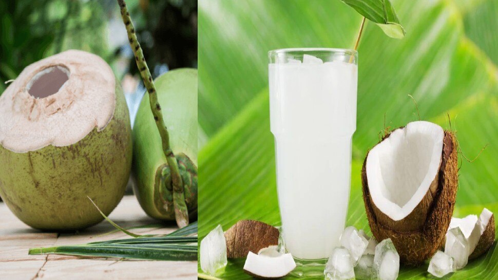 Health Benefits of Drinking Coconut Water in Summer ssh गर्मियों में