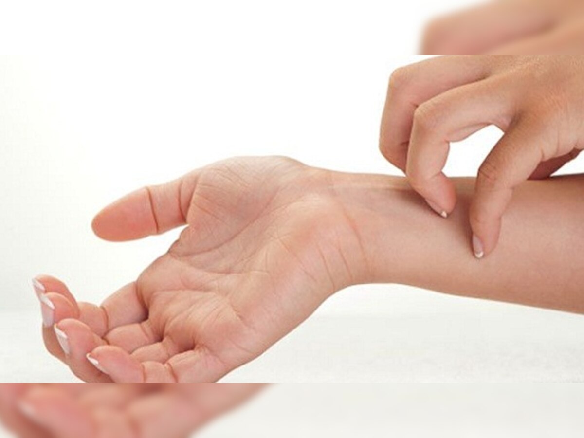 Knowledge Story Why does itching feel good Know how many times it