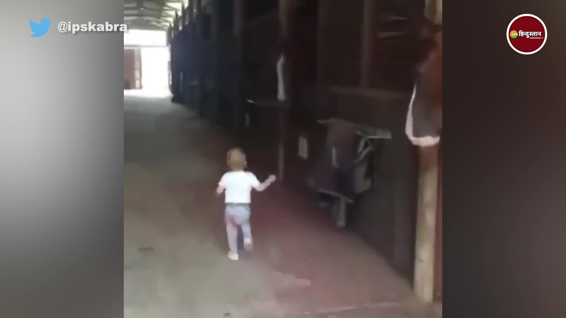 viral video of a roaming kid kiss horses in stables अस्तबल में घोड़ों