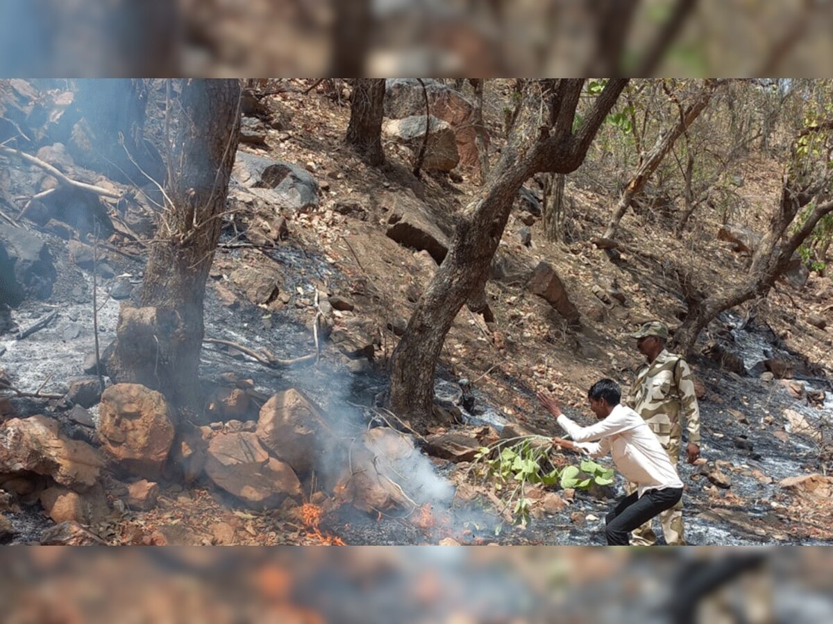 कुंभलगढ़ अभ्यारण क्षेत्र के सादड़ी रेंज में आग का तांडव, वन्य जीवों पर मंडरा रहा खतरा