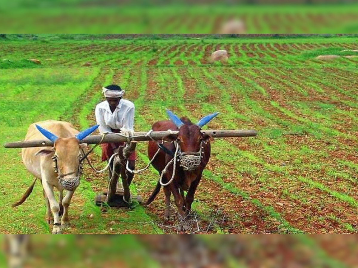 प्रतीकात्मक तस्वीर