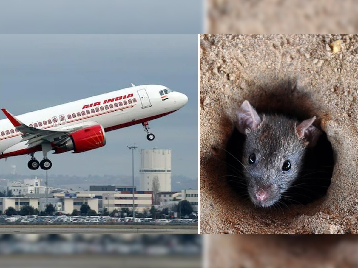 Air India: चूहे ने प्लेन में आकर किया ऐसा काम, दो घंटे लेट हो गई एयर इंडिया की फ्लाइट