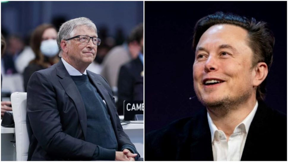 Elon Musk made fun of Bill Gates badly! This thing was written by sharing  the emoji of 'Pregnant Man' - Digit News