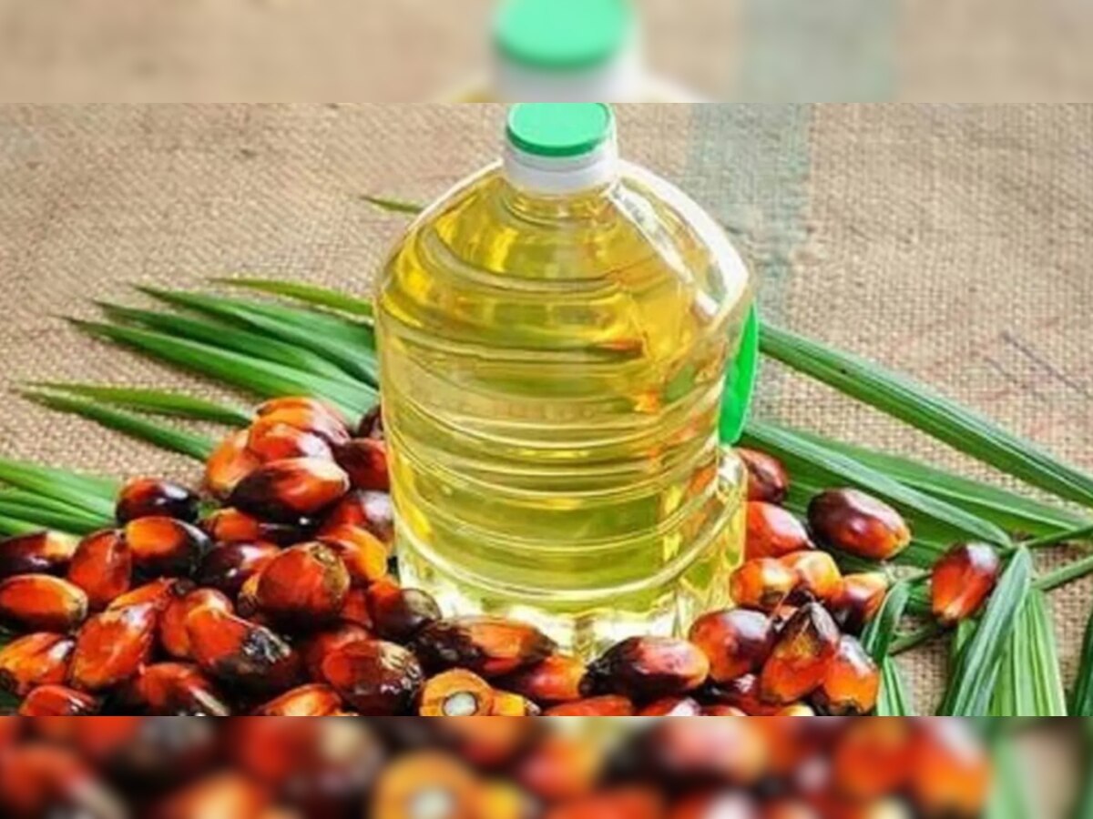 Indonesia Palm Oil Ban: इंडोनेशिया ने पाम ऑयल के एक्सपोर्ट पर लगाया बैन; इन चीज़ों पर पड़ेगा सीधा असर