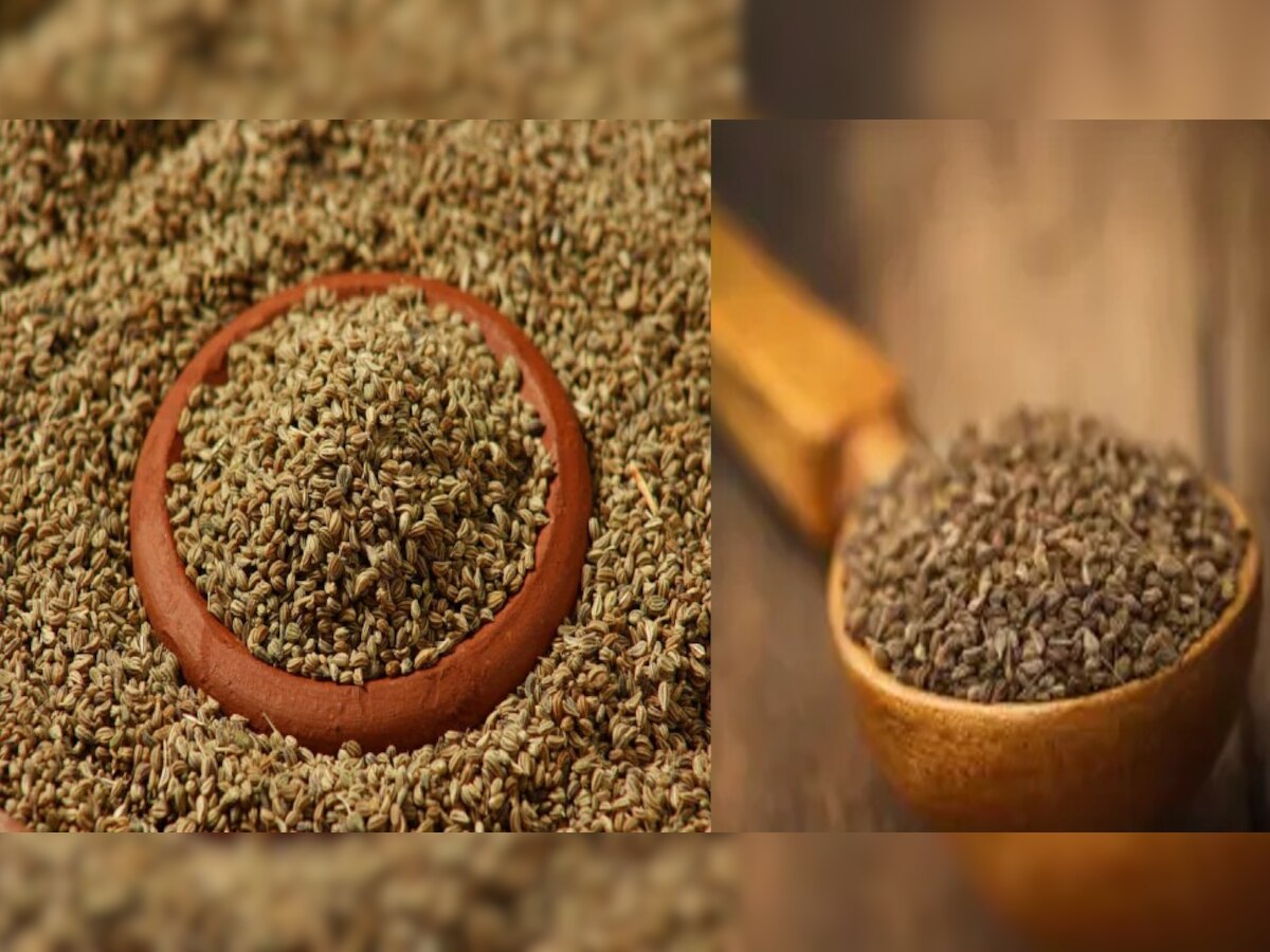Side Effects of Ajwain Seeds You Must know for health ssh आपको अजवाइन