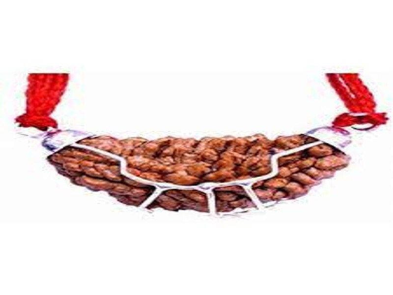 Rudraksh Benefits: हैरान कर देंगे एक मुखी रुद्राक्ष के ये फायदे, धन ...