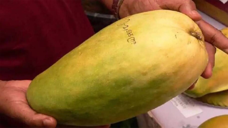 इस एक आम की कीमत होती है 2 से 6 हजार रुपये; इसके नाम से भी लोगों को हो जाता है प्यार 