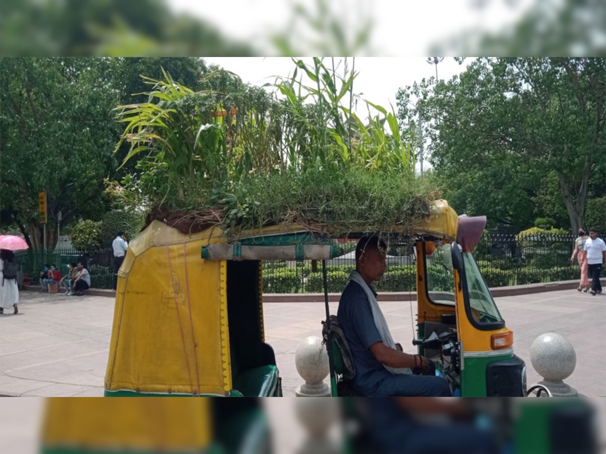 Environment Friendly auto in Delhi: ऑटो में सफर करने वाले कस्टमर्स के लिए ऐसी सर्विस, ड्राइवर ने छत पर लगाए पेड़-पौधे