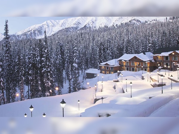 अलामती तस्वीर 