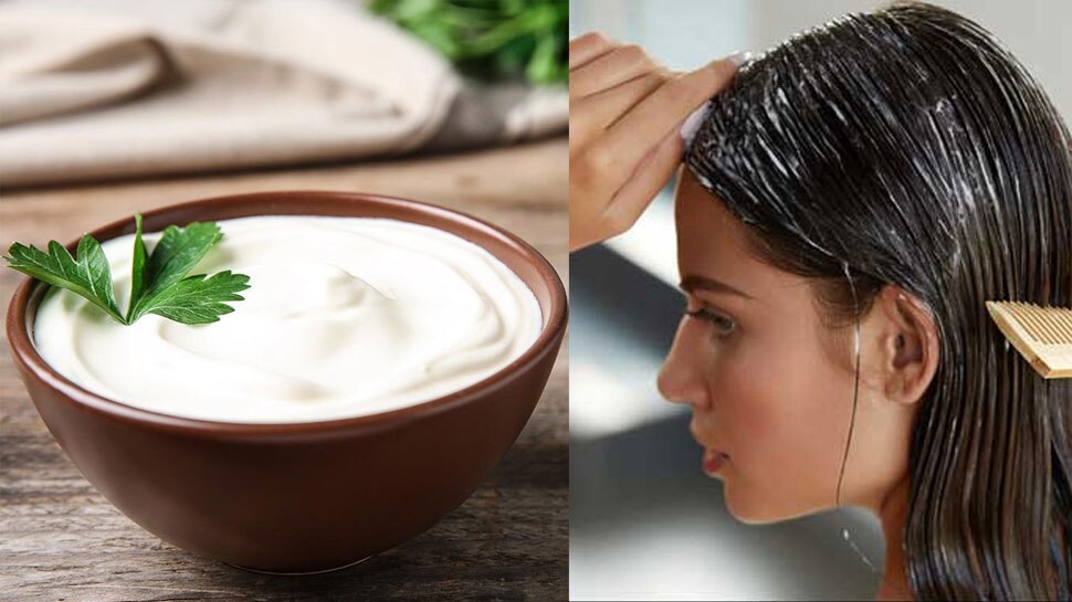 Benefits of Curd for Hair  Be Beautiful India