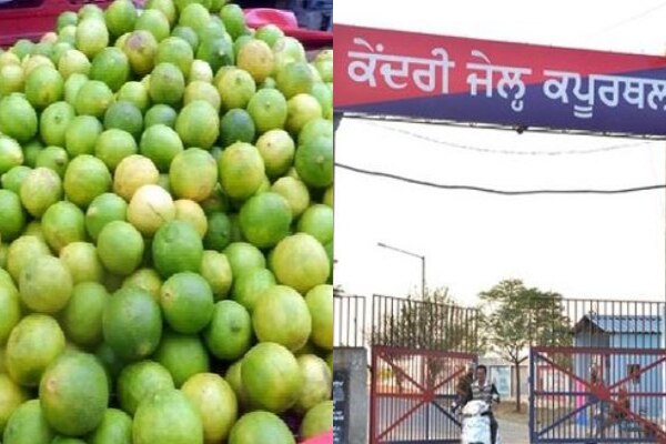 पंजाब में ‘नींबू घोटाला’, मंत्री के आदेश पर हुई ये कार्रवाई