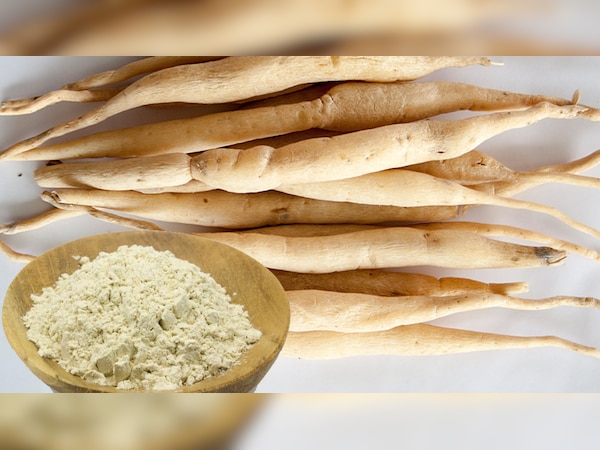 Shatavari benefits: अश्वगंधा की तरह शतावरी है दमदार चीज; लाभ जान हो जाएंगे हैरान