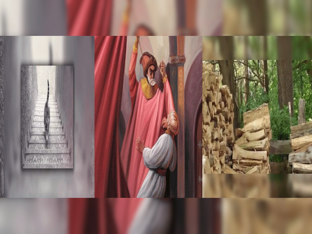 Optical Illusions : तस्वीर में बिल्ली की पोजीशन, आपकी लव लाइफ और पर्सनालिटी से हटा देगी पर्दा, देखें और जानें 