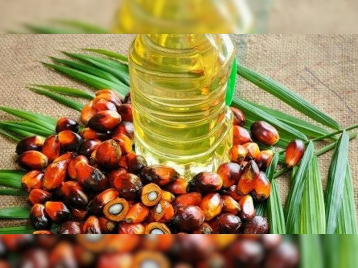 Palm Oil के एक्सपोर्ट टैक्स को आधा कर सकता है मलेशिया, जानें एक आम भारतीय पर इसका क्या असर पड़ेगा