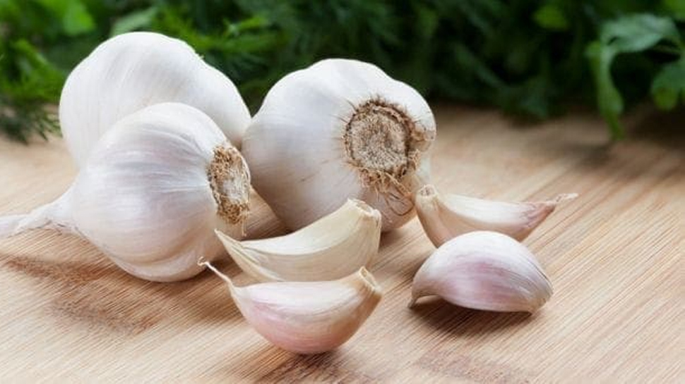 Lehsun benefits: चौंका देने वाले परिणाम के लिए शादीशुदा मर्द ऐसे करें लहसुन का सेवन Lehsun benefits: चौंका देने वाले परिणाम के लिए शादीशुदा मर्द ऐसे करें लहसुन का सेवन