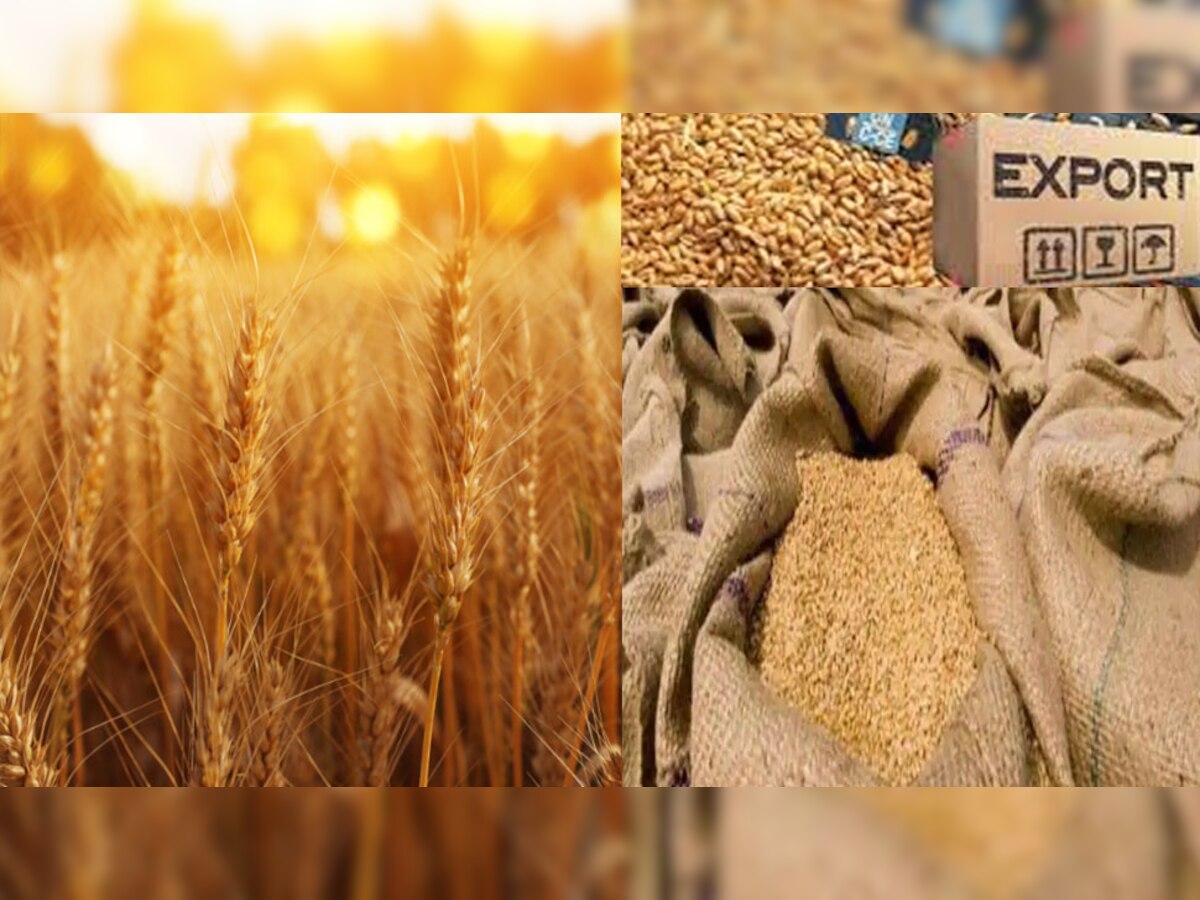 Wheat Export: आपकी थाली से गायब न हो रोटी इसलिए सरकार ने लिया ये बड़ा फैसला