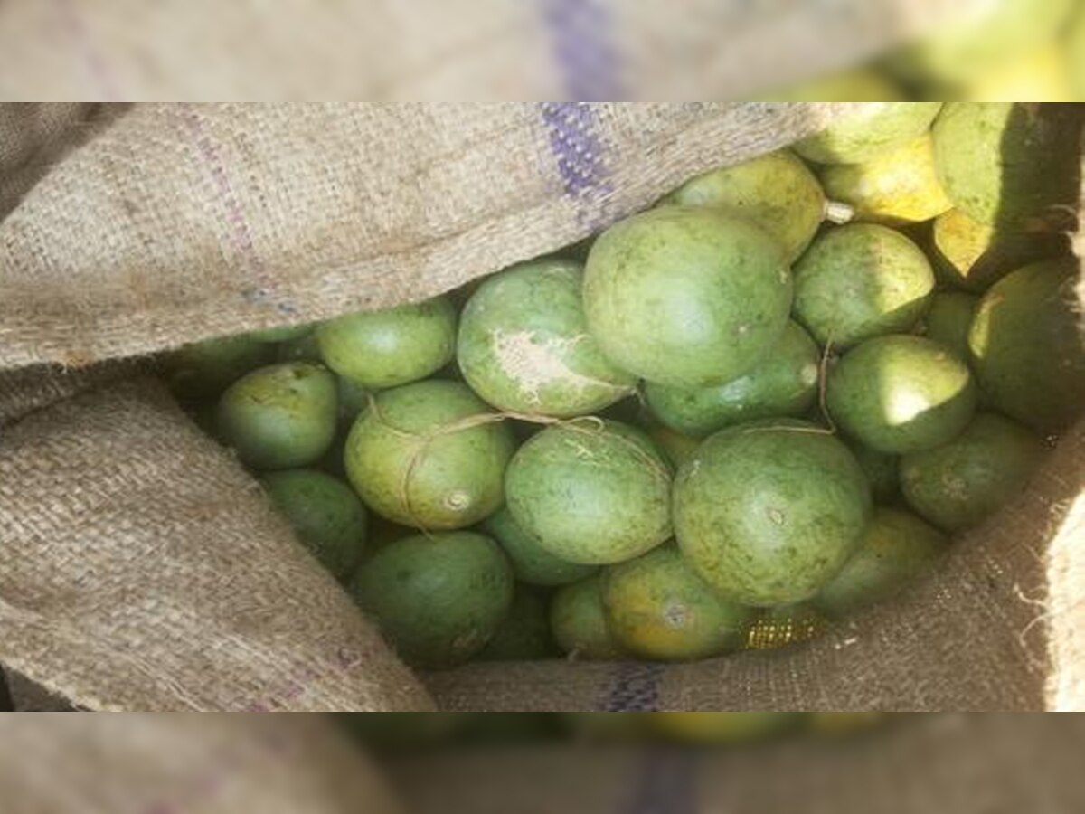 Bael Fruit benefits: बेल है गर्मियों का बेहतरीन तोहफा; इन परेशानियों को करती है दूर